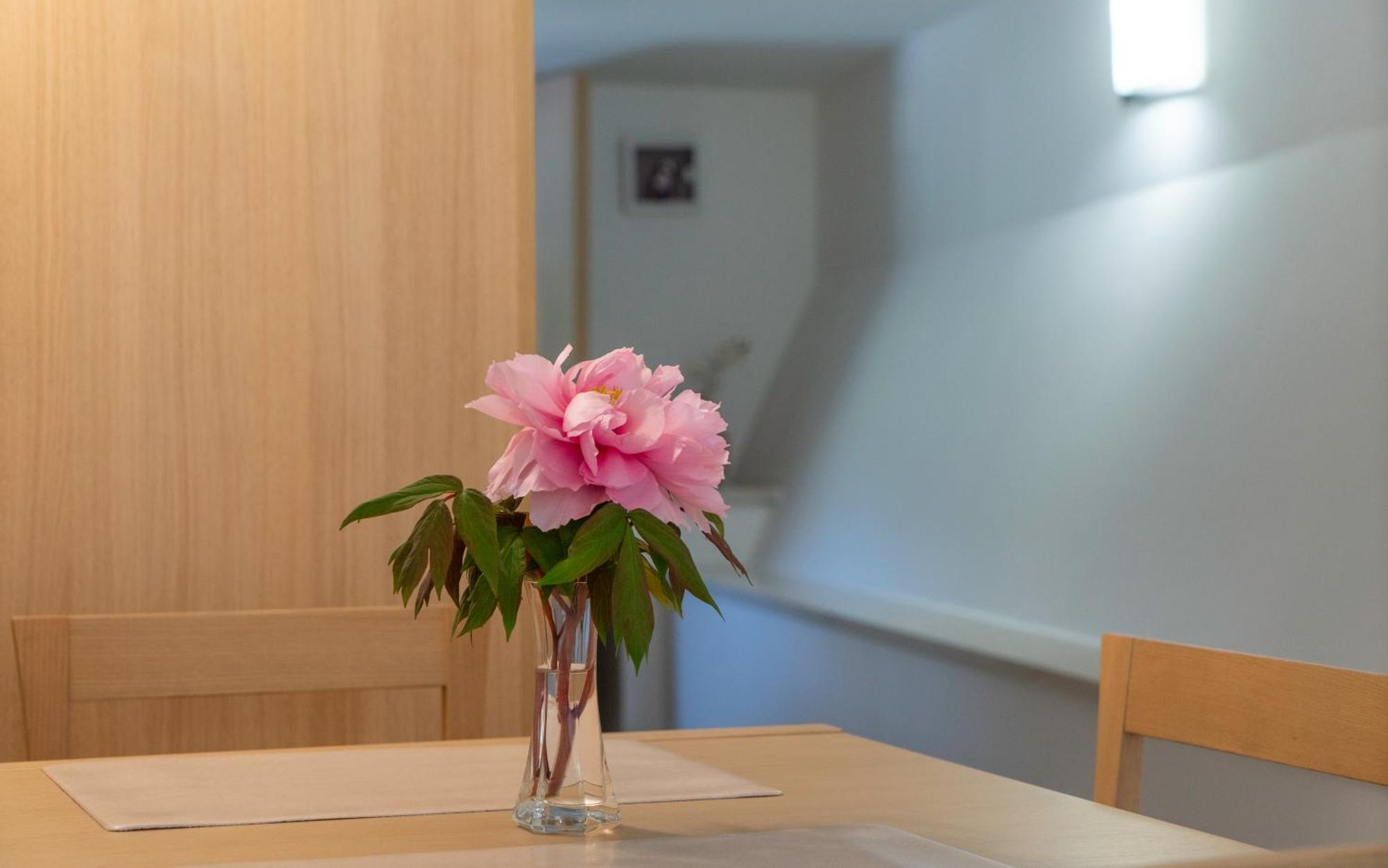 Apartments Lila Đảo Đảo Cres Phòng bức ảnh